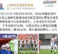 顶级娱乐官方登录入口-斯洛伐克险胜晋级，淘汰赛惊险百态的简单介绍