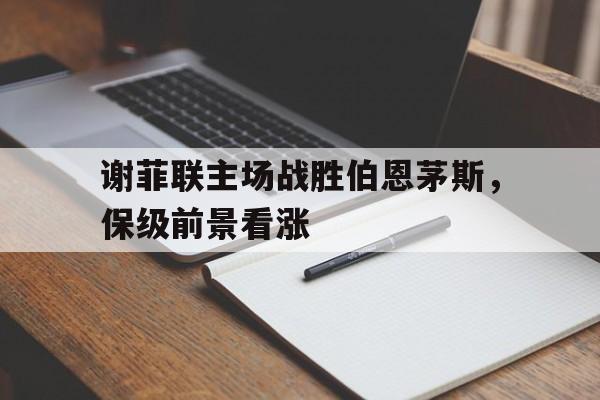 谢菲联vs
